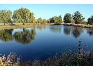 Property photo 120 - EHLE FARMS AUCTION - 118+/- ACRES IN 9 TRACTS IN ALLEN COUNTY, INDIANA
